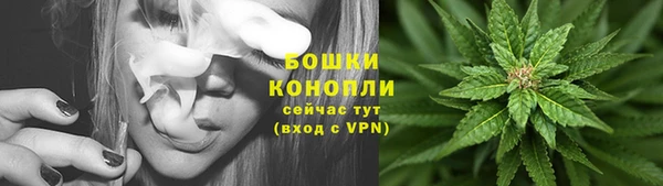 меф Вяземский