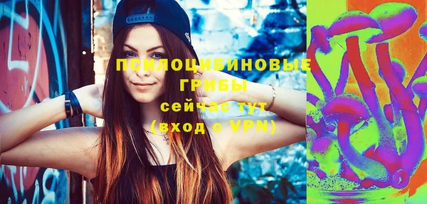 МДПВ Вязники